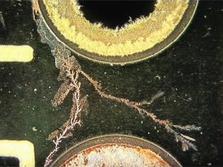 Dendrites Ionic Contamination Dendrites Ionic Contamination